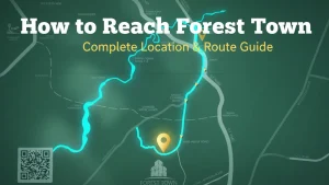 Forest Town Location Guide